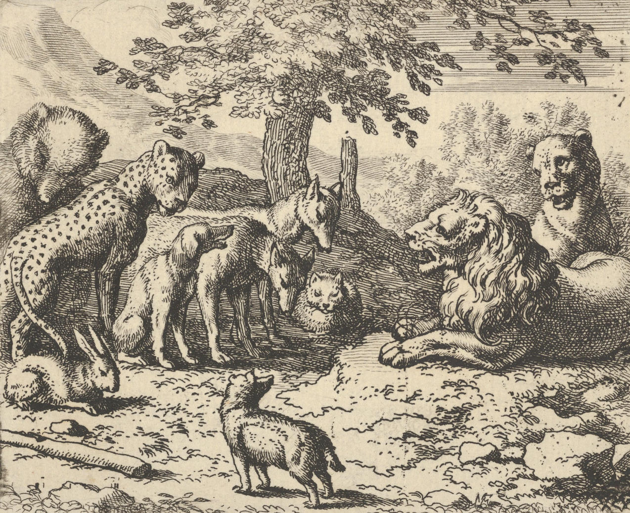 Etching: the animal council beneath the tree